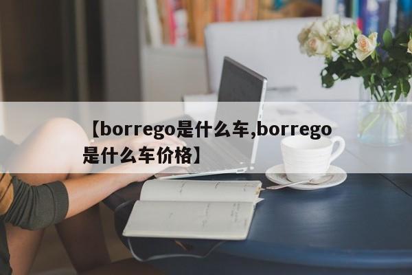 【borrego是什么车,borrego是什么车价格】