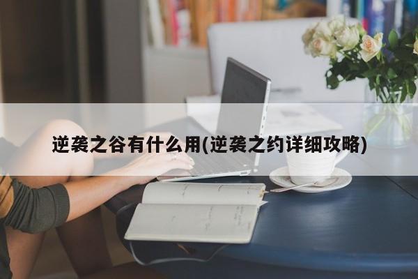 逆袭之谷有什么用(逆袭之约详细攻略)