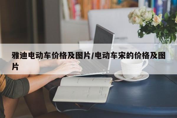 雅迪电动车价格及图片/电动车宋的价格及图片